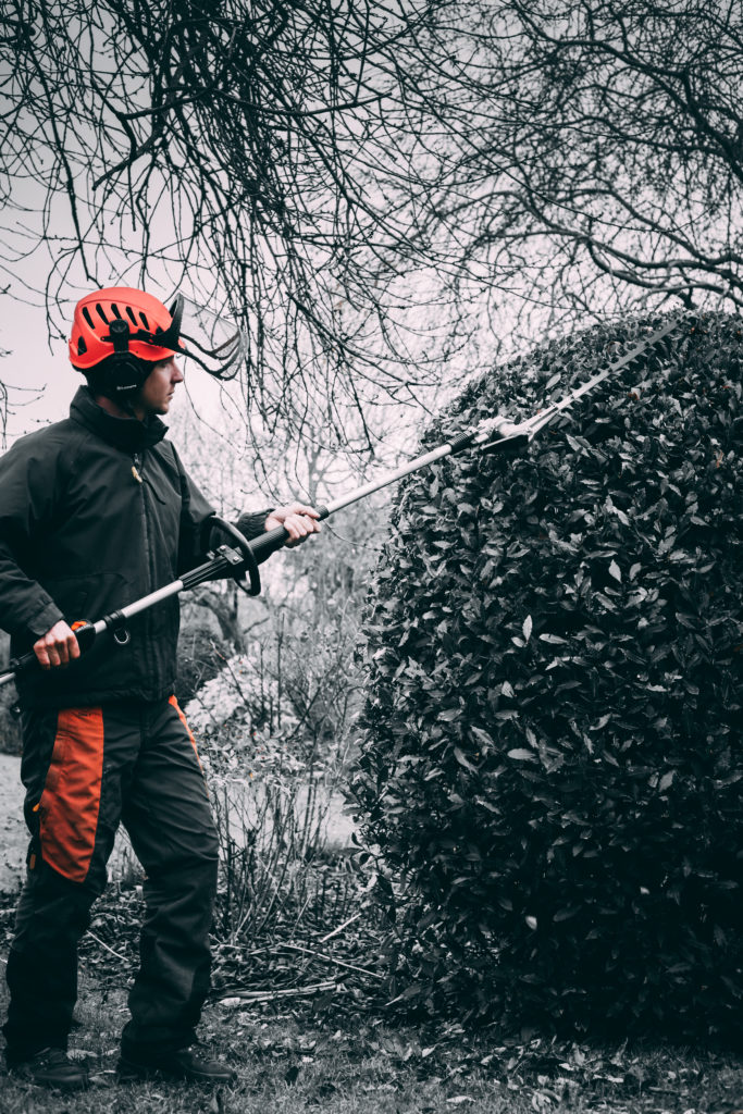 Close-up of a hedge being trimmed