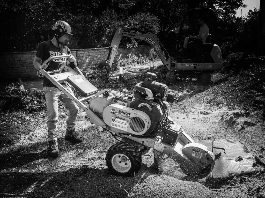 Photo of an arborist using a grinder to remove a tree stump